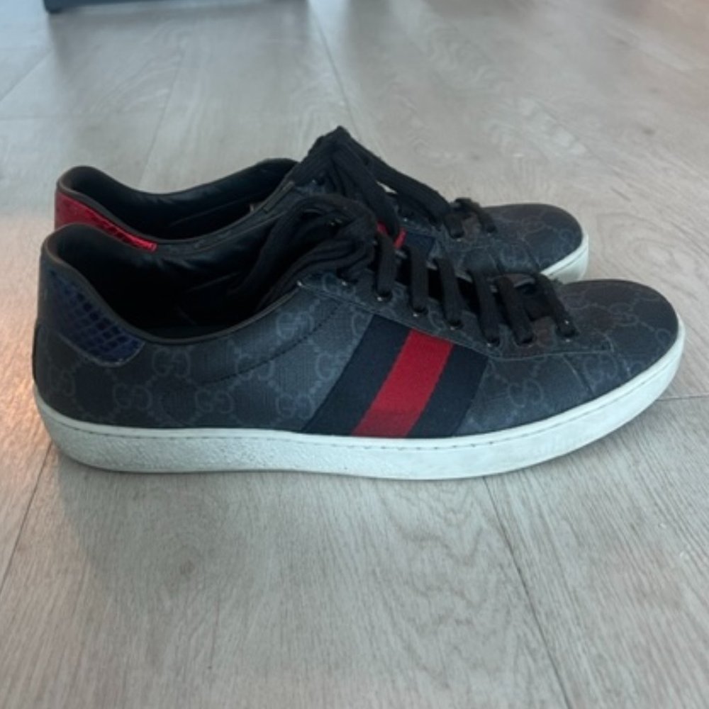 Men's Ace GG Supreme sneaker size UK 7/US 8